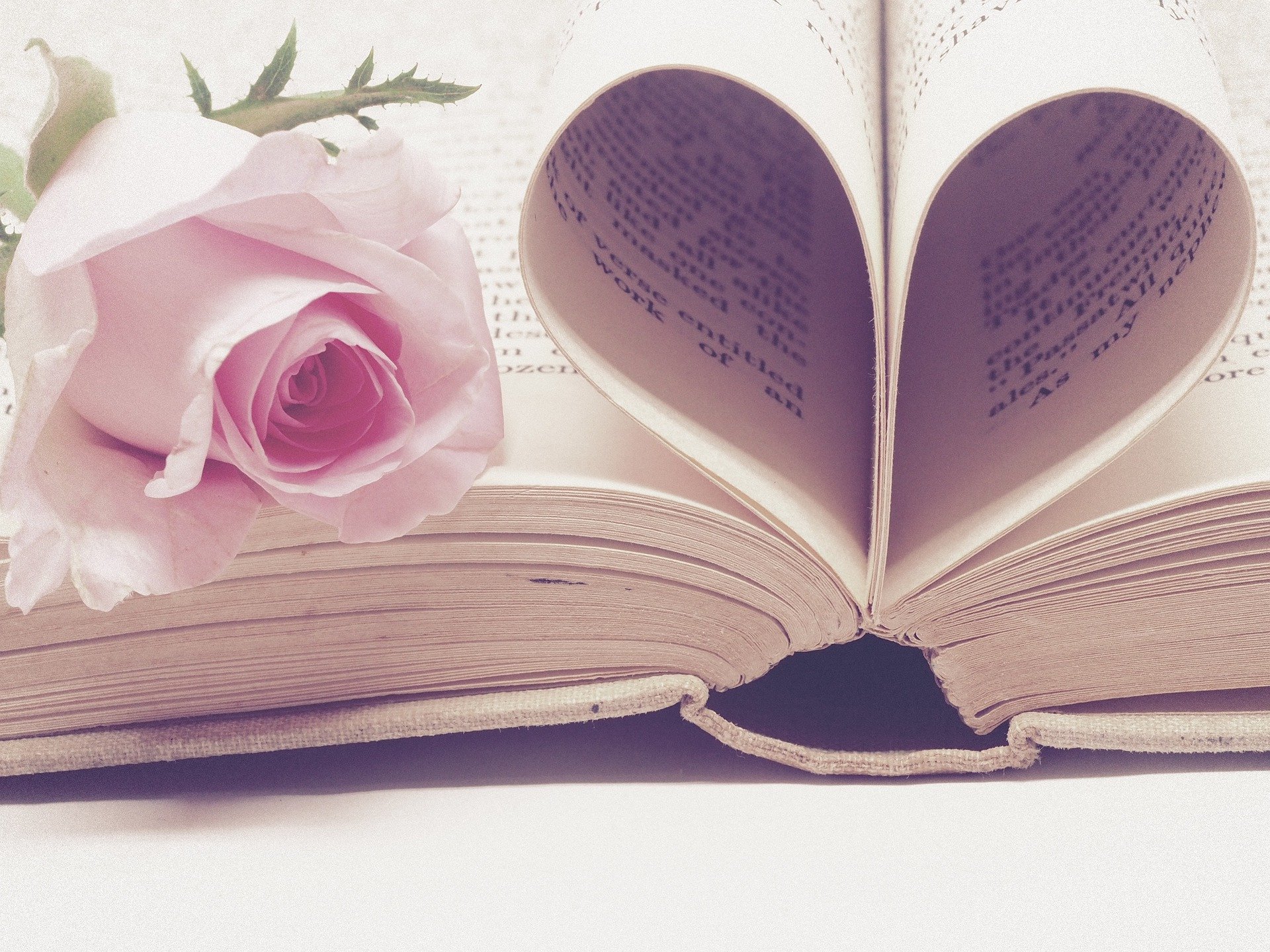 literature-3060241_1920